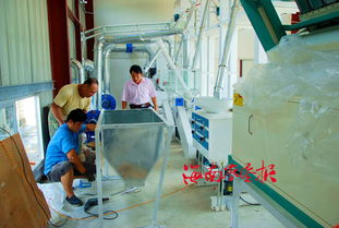 中建農(nóng)場投資興建南呂香大米加工廠的投資管理策略與實踐